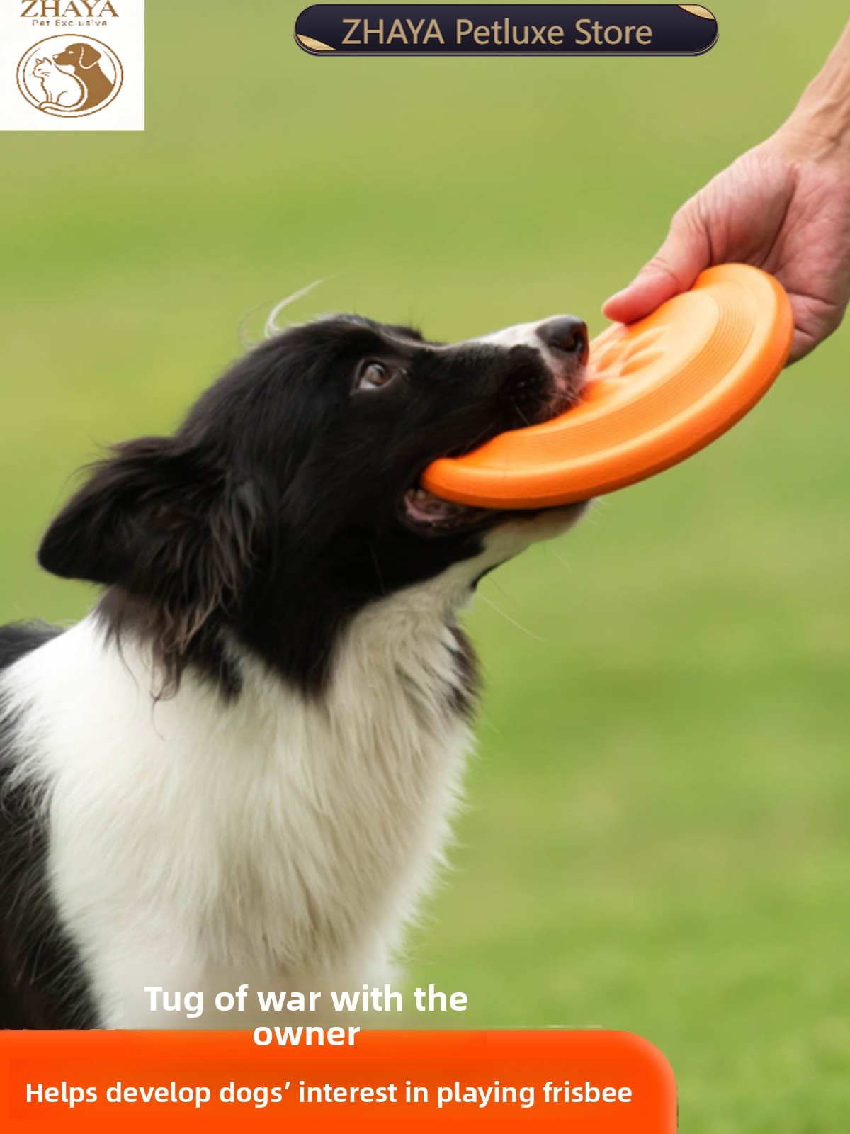 Flying Disc Dog Training Toy - Latający dysk dla psa, miękki, wytrzymały,