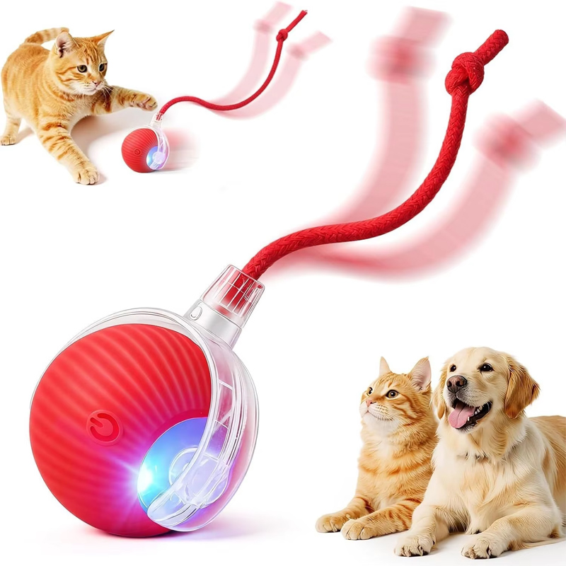 Automatic Moving Dog Ball - Nowa interaktywna piłka dla psa, automatycznie