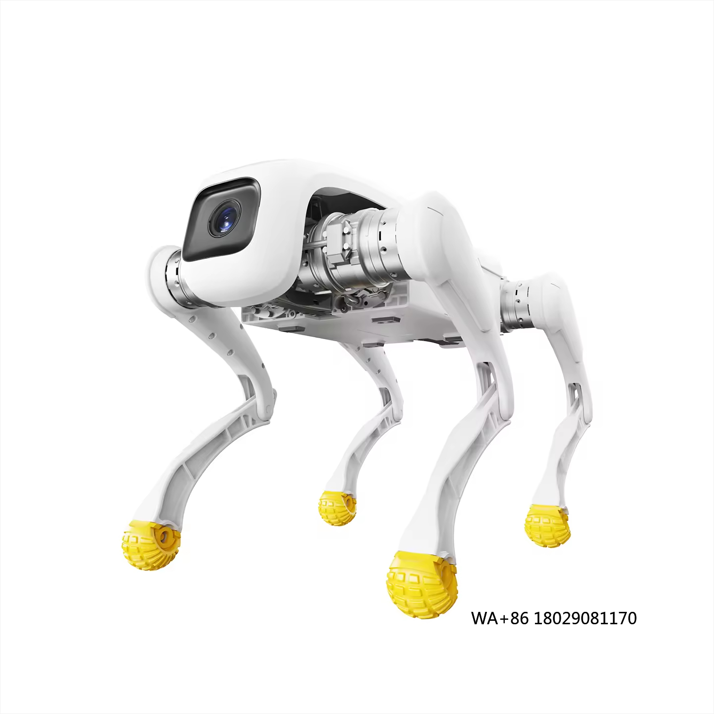 Dog Toys - Zabawka robotyczna dla psa, robot z