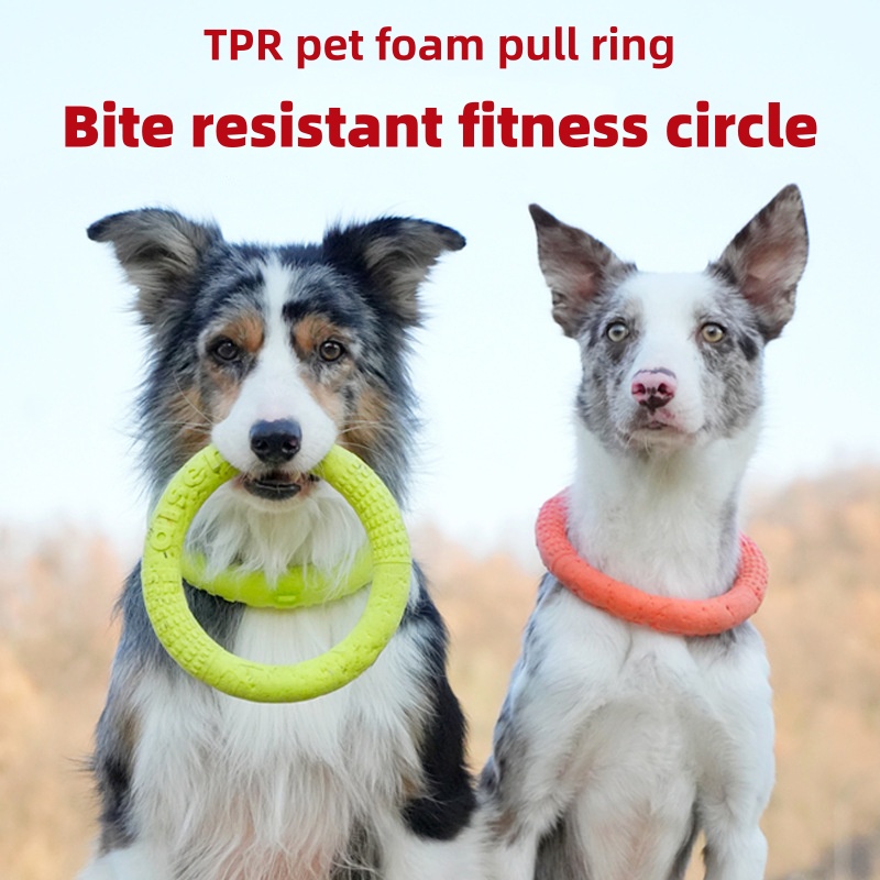Flying Disc Dog Training Toy - Odporny na gryzienie, wodoodporny, pływający dysk