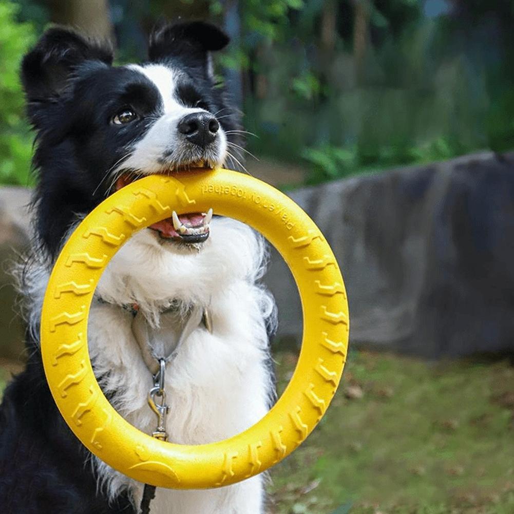 Suction Cup Dog Tug Toy - Zabawki dla psów w formie pierścienia,